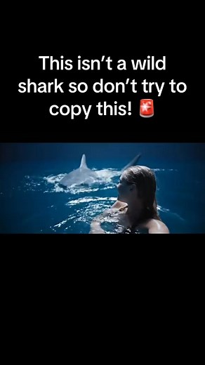 Shark Mummy is introducing the great white shark she’s been raising with care, showing how calm and gentle he can be under her watch. She shares the playful side of this ocean giant while reminding everyone that it takes knowledge and patience to build this kind of trust. Do not try this at home. Real sharks don’t behave this way—Shark Mummy is an expert, and safety for both humans and animals always comes first. #SharkWeek #MarineBiology #OceanLife #GreatWhiteShark #SharkConservation | Valkyrae