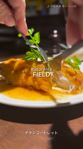 ISHINORI on Instagram: ". 宇都宮 / レストラン フィールド @restaurant_field71_5 久しぶりに娘達とフィールド 相変わらずの人気ぶり チキンコートレットと娘達はパスタ #レストランフィールド 80's名曲と共に… 若さとは"振り向かない事"さ 愛とは"ためらわない事"さ ギャバンは深いなぁ 同じ金属ボディーのアイアンマンよりギャバンの方が数倍カッコエエ #宇宙刑事ギャバン"
