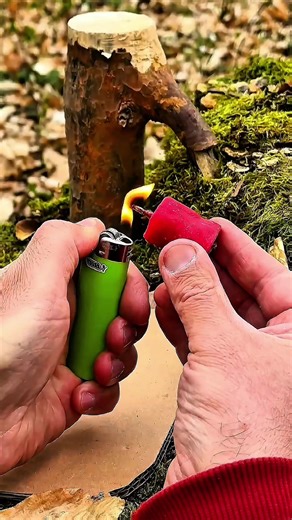 Master Outdoor Survival Skills for the Wild