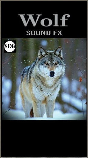 Wolf Sound Fx