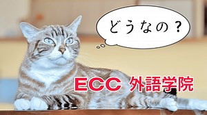 ECC外語学院 韓国語コースの評判は？リアルな口コミ・感想・デメリット、料金や入会方法、おすすめコースも紹介