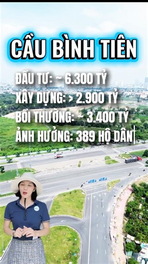Thông tin chi tiết Cầu Bình Tiên | Hong Dung BDS
