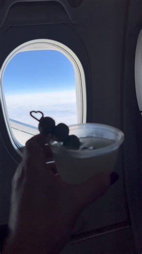 519K views · 3.9K reactions | FLIGHT COCKTAIL: DIRTY MARTINI & A...
