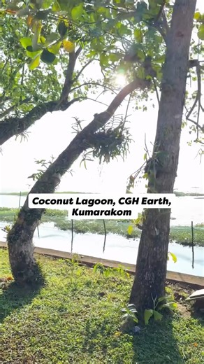 Coconut Lagoon, CGH Earth on Instagram: "Waking up by the backwaters really does change the rhythm of a day. So nice to see our Coconut Lagoon through your eyes @the.anonymous.ant. You've captured the quiet, the green, and the feeling so beautifully. Looking forward to your full vlog. #MeAndCGHEarth #CoconutLagoon #CGHEarth #Kumarakom #VembanadLake #KeralaBackwaters #KeralaExpereince #Kerala #Godsowncountry #UniqueExperiences #BackwaterLife #EnchantingEssence #repost One of the best stays! @coco