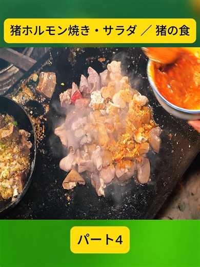 猪ホルモン焼き・サラダ：猪の食 パート4
