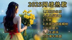 2025年热门爆火网络歌曲合集，每一首都好听，无损音质欢迎来听歌！