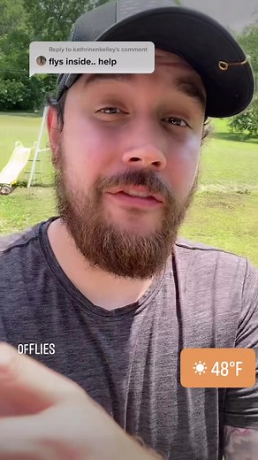 539K views · 10K reactions | How to kill fly’s! | Ceith Griffith | Facebook