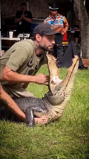 Man vs crocodile #manvswildinhindi #crocodile #crocodiles #crocodilevideo #crocodilestory #shorts