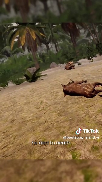 Bootstrap Island on TikTok