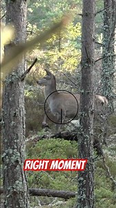 Red Deer Driven Hunt – Split-Second Shot on the Calf | Episode 7