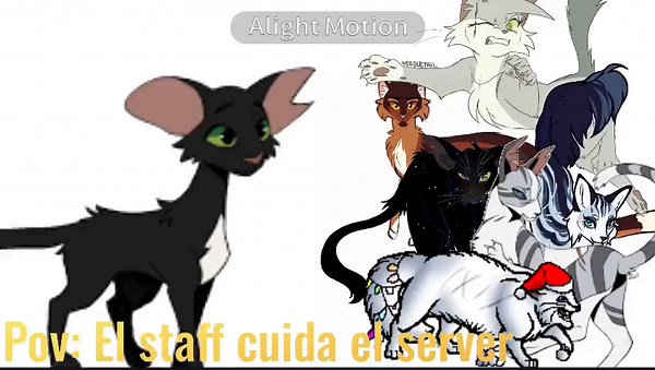 vídeo hecho por Snowtuft, la verdad no se que decir simplemente únanse #warriors #warriorcats #unetealteam #teampordiscord #losgatosguerreros #gatosguerreros