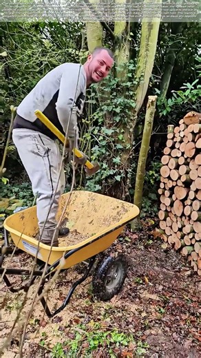 The Boomerang Bonk: When Timber Fights Back