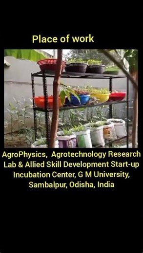 Multi layer organic farming at AgroPhysics, Agrotechnology Research Lab, GMU