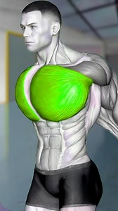 732K views · 7K reactions | Top 6 Best Chest Workout Routine - Chest Day #chest #chestworkout #chestday | Trending Gym | Facebook