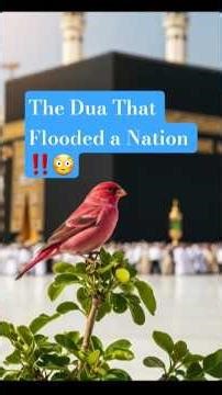 This Dua Brought the Flood ‼️🌊 #NuhAS #Dua #IslamicReminder #QuranStory #FloodStory