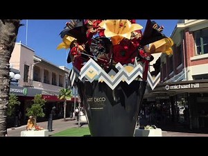 Tour of Napier New Zealand