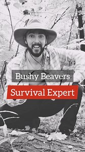 155K views · 3.4K reactions | survival tips that are surprisingly effective… #survival #survivor #comedy #satire #sus #gay | Cameron Geller | Facebook