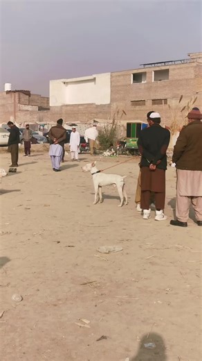 ‏Animal voice #animals #foryoupage #foryou #dog