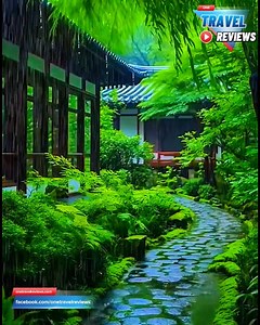 133K views · 10K reactions | Beautiful rainy day 李 | One travel reviews | Facebook