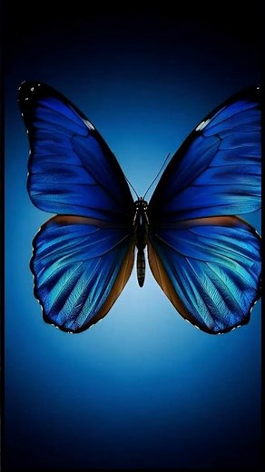 Mesmerizing Blue Butterfly in Slow Motion – A Peaceful Close-Up of Nature’s Gentle Beauty