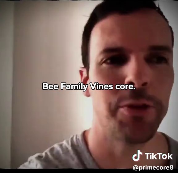 Bee Family Vines core. #vines #hopecore #sadcore #mentality #fyp | vines