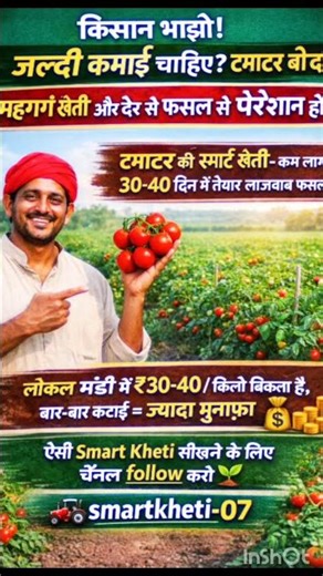 🍅 Tomato ki lajabab kheti 🍅🚜⛏️🌾 #trending #smartkheti