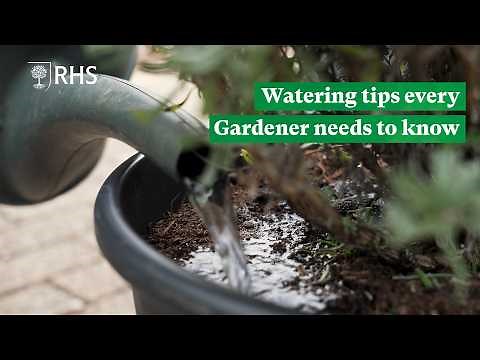 How to water your garden wisely | The RHS