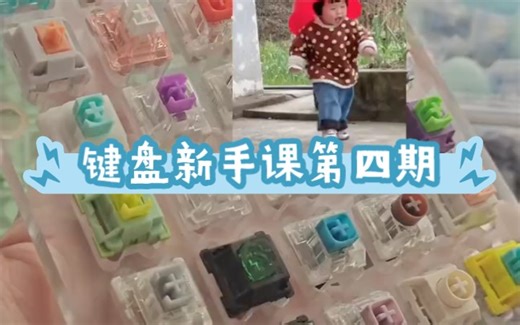 只有小白懂小白‖新手入坑键圈必备，这期讲最基础的轴