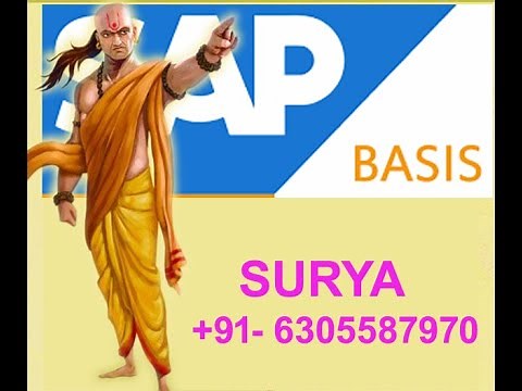 SAP BASIS PROJECT KT & LANDSCAPE EXPLANATION BY MANOJ +91-6305587970