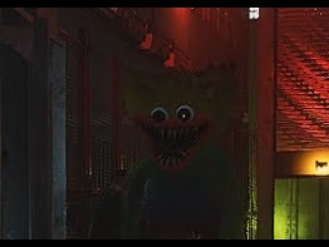 the project playtime private server experience