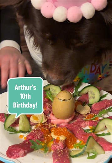 Happy Birthday to King Arthur! He is 10 years young today 🥳 #tinnedfishreview #kingarthur @TinnedFishReviews