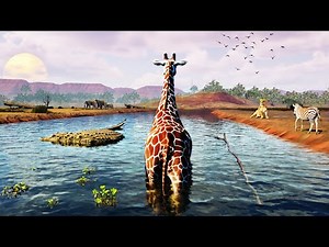 Surviving Solo in Africa as a GIRAFFE!