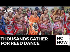 Thousands of Maidens Gather for Eswatini’s Umhlanga Reed Dance