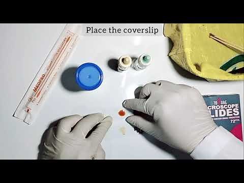 Direct Fecal Smear and Kato-Thick DIY