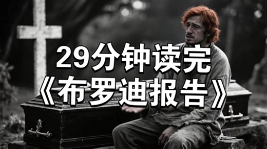 【书籍哄睡】29分钟一口气读完《布罗迪报告》