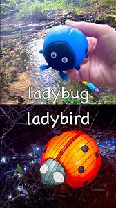 Learn Bug Insect Names for Babies Toddlers Kids at the Woodland Stream: Caterpillar Grasshopper