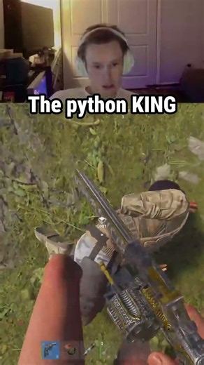 the python KING