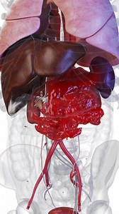 130K views · 3.5K reactions | An abdominal aortic aneurysm (AAA) is a...