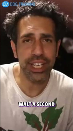 Train Your Dog: Understanding Their Signals Easily #shorts