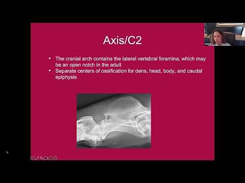 Equine Winter Webinar: An overview of equine cervical spine radiographic interpretation