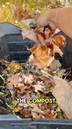 Composting in the fall & winter - cold weather isn't stopping us!