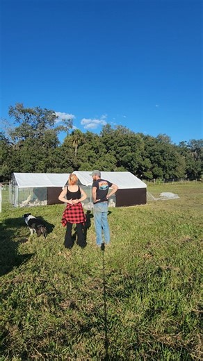 Trying to live that 90's country kind of life 鸞 Had to recruit help to rotate the coops for the run back up the pasture. Makes my heart happy to see them on long fresh grass. They get so excited! *Peep the Palomino who wanted to be involved. | Red Beard Ranch | Facebook