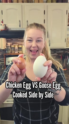 Chicken Egg vs Goose Egg: A Cooked Comparison