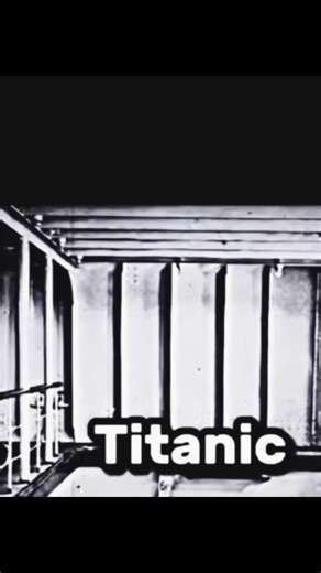 Amazing Fun Facts That Will Make You Laugh