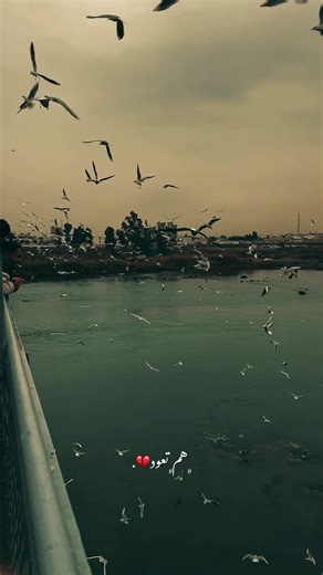 هم تعود: شاشة سوداء وتأملات في الفراق 💔