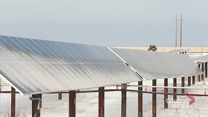 Regina city council votes unanimously in favour of Cowessess land purchase - Regina | Globalnews.ca