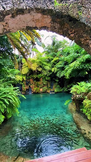 Exploring the Secret Gardens of Miami Beach