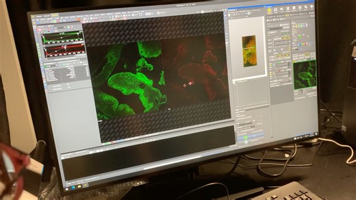 激光共聚焦显微镜（尼康）使用培训-3