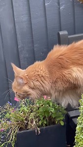 72K views · 12K reactions | Lol! Trolls are out in force. Must be the...