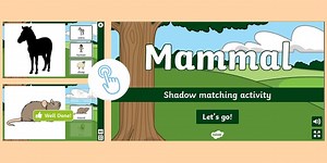 Mammal Shadow Matching Activity